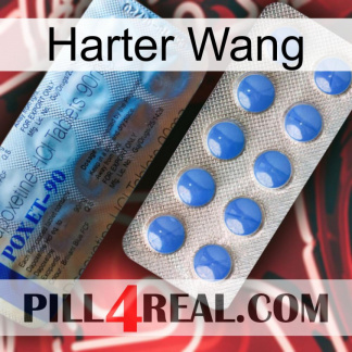 Hard Wang 40